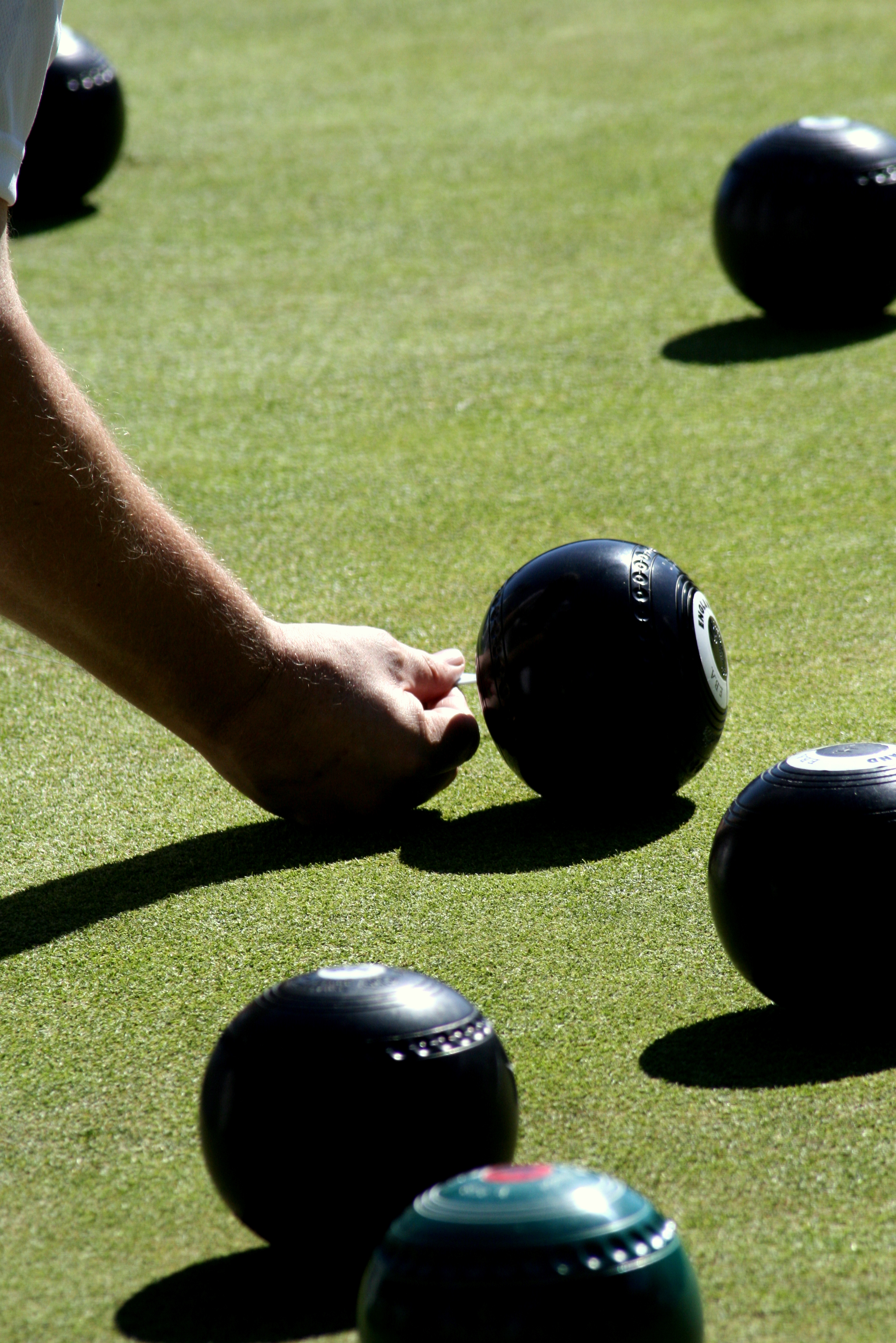 850313_90869903 Wardleygate